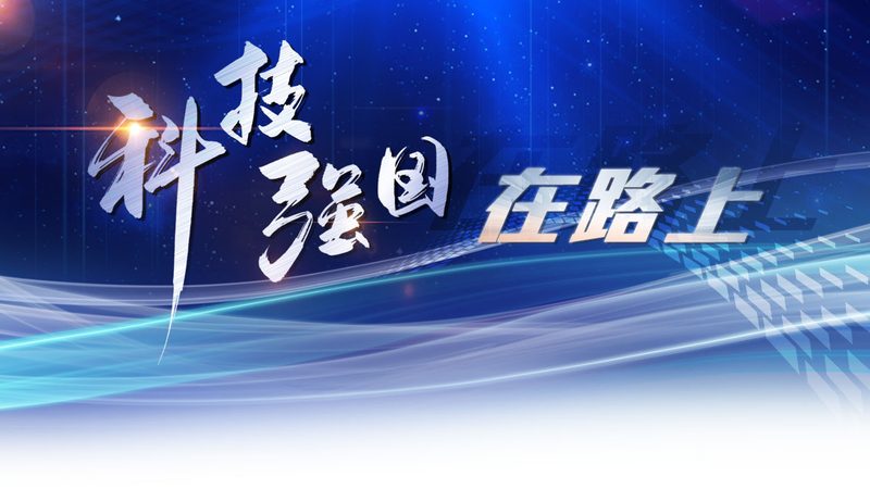 数据安全隐私计算公司：守护数据世界的守门人